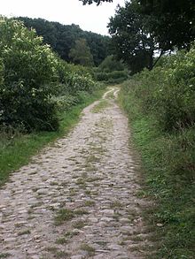 Old Salt Route, Germany