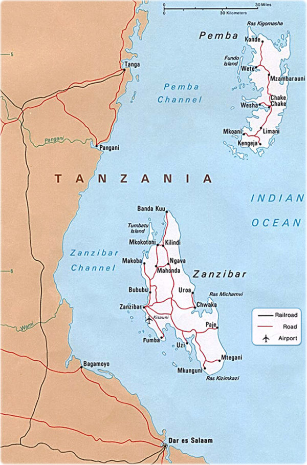 Spice Trade Chronicles 8 Zanzibar